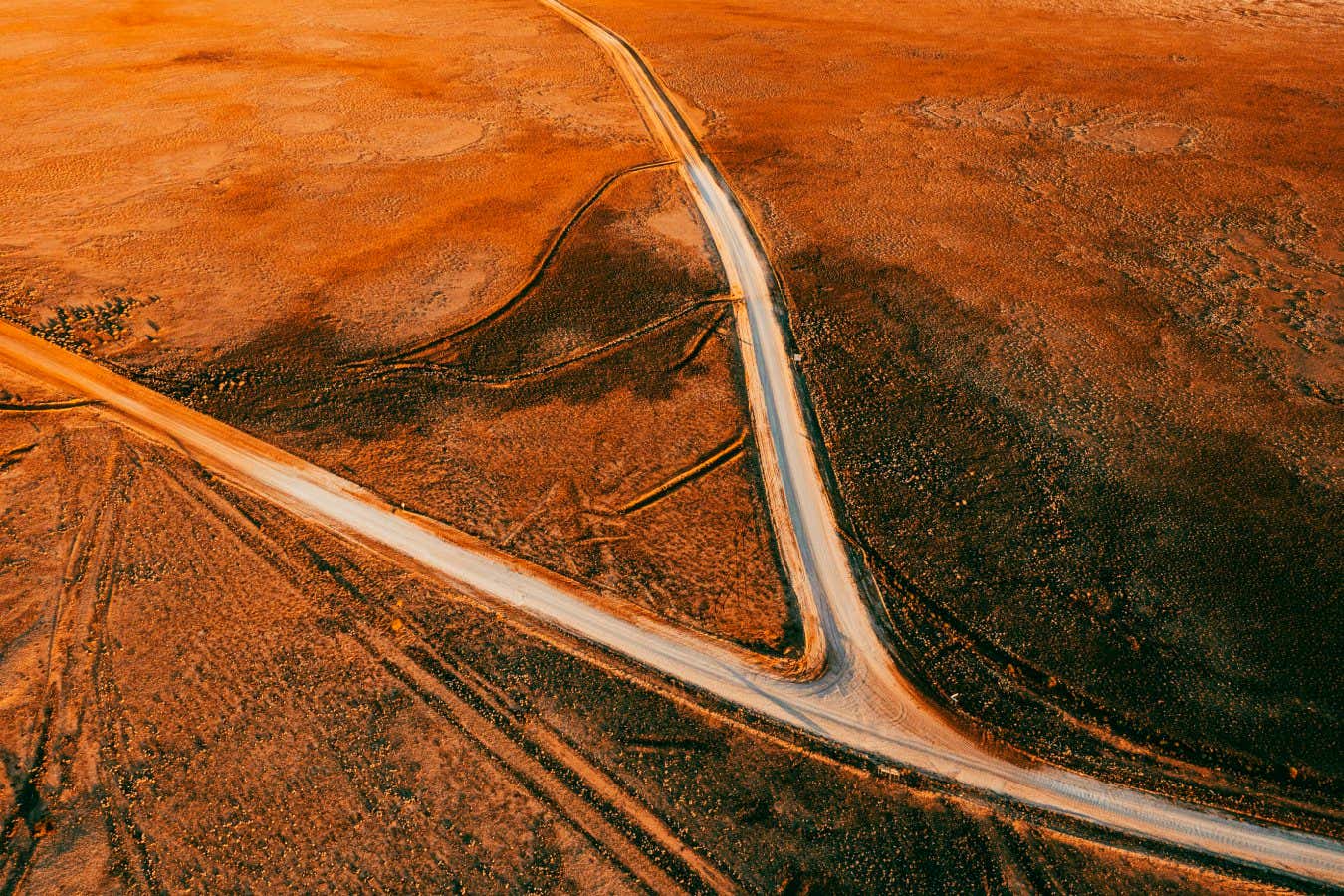 Tim Winton's post-apocalyptic new novel is terrifying and brilliant